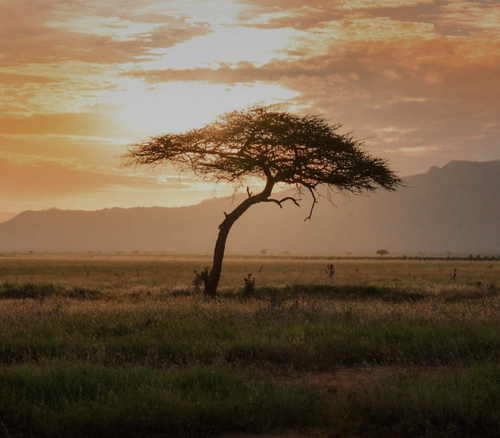 Screenshot 2025 12 17 at 8.50.37 PM.png