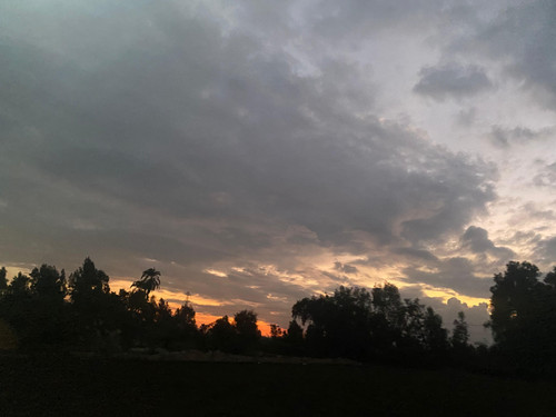 IMG 20251212 WA0018.jpg