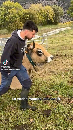 iv2ZNS8OAIxzNzdH.jpg