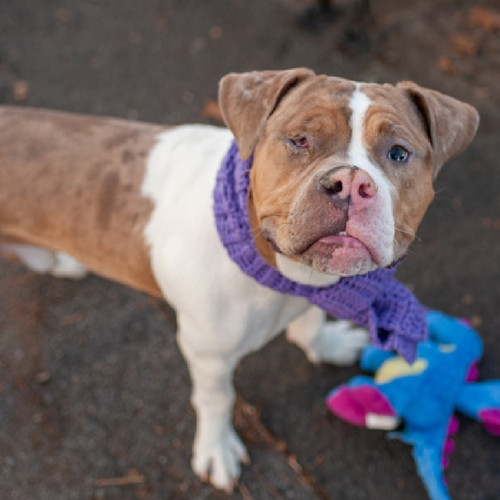 G8Wd8efa4AUscI ?format=jpg.jpg