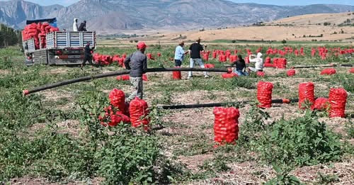 16571313609366007966?url=https%3A%2F%2Fcdn.halktv.com.tr%2Fnews%2F503367.jpg&fb obo=1&utld=halktv.co.jpg