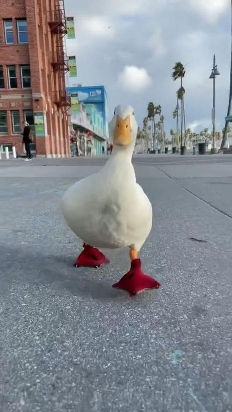 unnamed 2024 01 23T073210.370.jpg