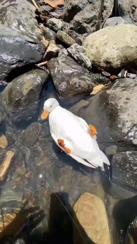 unnamed 2023 11 06T131321.011.jpg