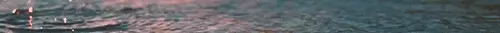 1000017279.webp