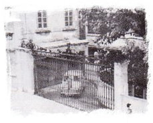 481825570 2904884743021343 1262651842936173793 n.jpg