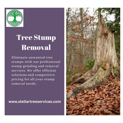 stellar tree services.jpg