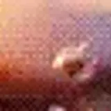 1000017278.webp