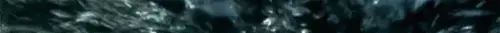 1000017277.webp