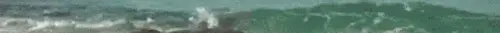 1000017276.webp