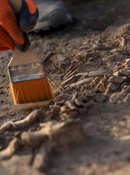 600296750 25608684452102904 257487593686865665 n.jpg?stp=dst jpg s590x590 tt6& nc cat=103&ccb=1 7& n.jpg