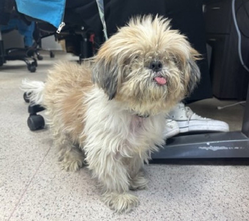 G6Jq9avWQAA 9Ie?format=jpg.jpg