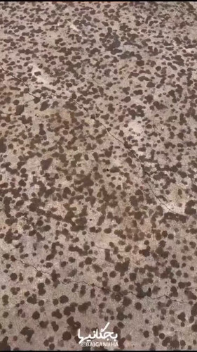 081uWxddYg6E4 t0.jpg