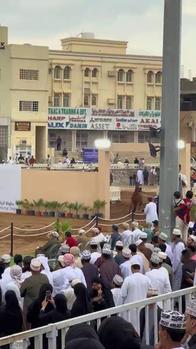 M5qJCfTz2lQ Ww3C.jpg