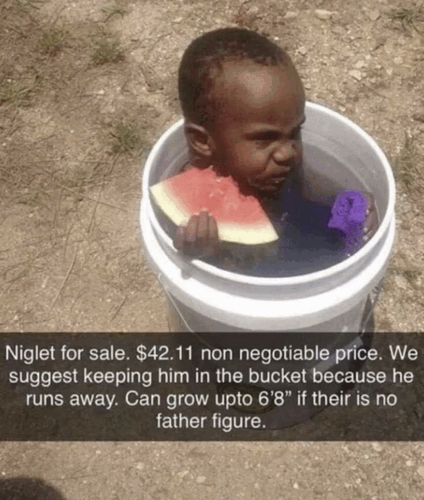 Discord ZTkLcNBwHn.png