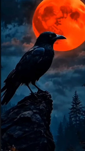 4SZawPirmeY sBUg.jpg