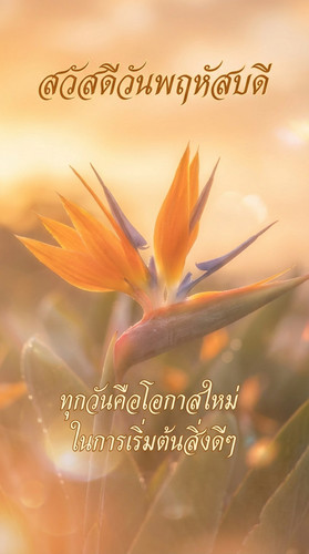 uc?id=10TD8 bDUxab9JatN4lq272adwYcqj7QD&export=download.jpg