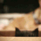 1000025779.gif
