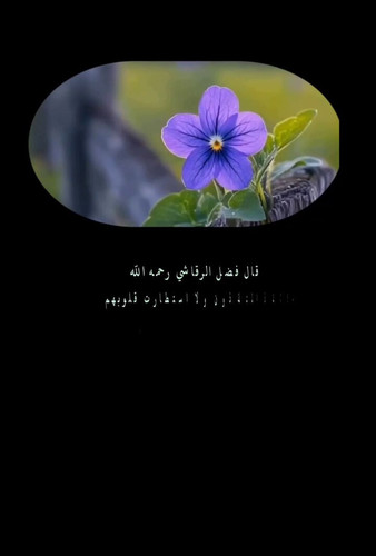 JCt04Q7k6Nf2ezl0.jpg