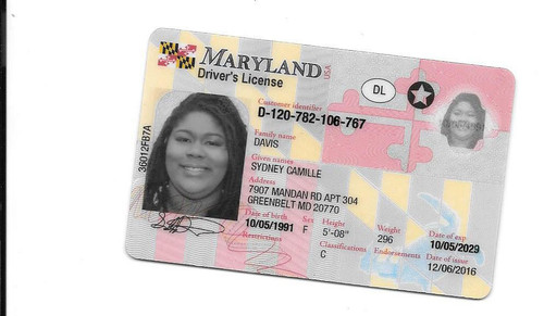 Sydney Davis license.jpg