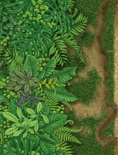 land.OF DIFDA3.jpg