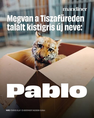 599945822 1362989959173016 2910173823414262079 n.jpg?stp=dst jpg s640x640 tt6& nc cat=109&ccb=1 7& n.jpg