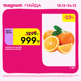 Magnum 1620x1620 1 tov 2025 12 18T092603.373