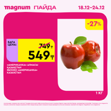 Magnum 1620x1620 1 tov 2025 12 18T092602.468