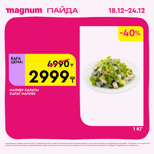 Magnum 1620x1620 1 tov 2025 12 18T092557.583.png
