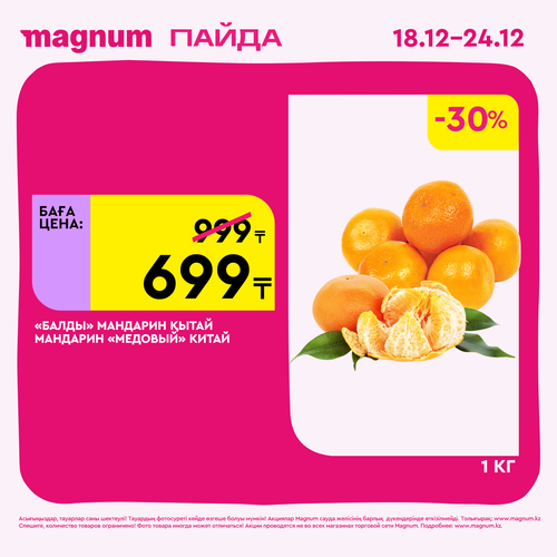 Magnum 1620x1620 1 tov 2025 12 18T092605.497.png