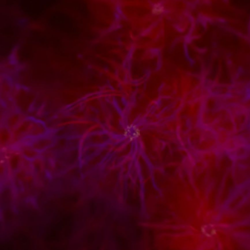 50c82b10306c.png