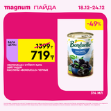 Magnum 1620x1620 1 tov 2025 12 18T092513.858