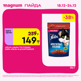 Magnum 1620x1620 1 tov 2025 12 18T092550.598