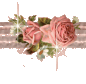 truebeautydiv