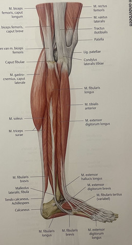 8a39da373020.jpg