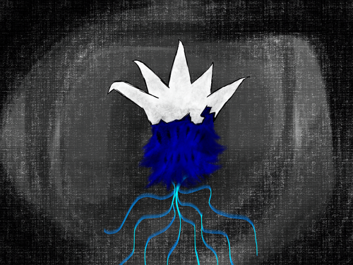 IMG 0244.png