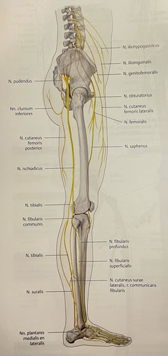 b5b66885962d.jpg