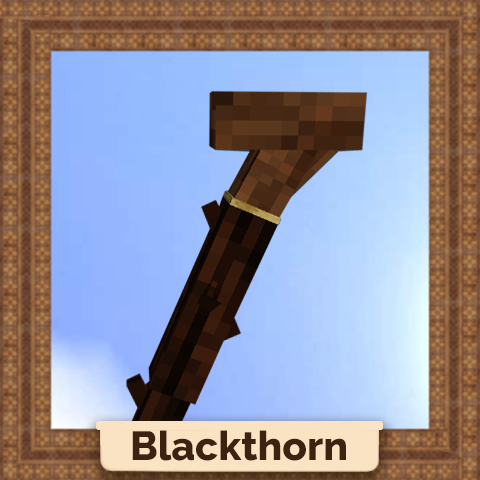 modicon8