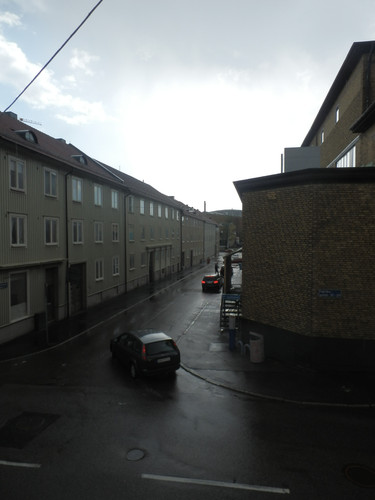 P6010904.jpg