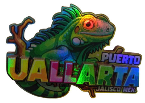 IGUANA VALLARTA removebg preview Photoroom.jpg