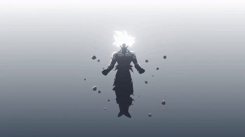 goku ultra instinct 800.gif