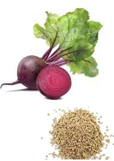 400 chakundar beet root seeds cb.jpg