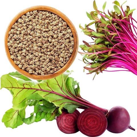 75 1beetroot seeds for farming b.jpg