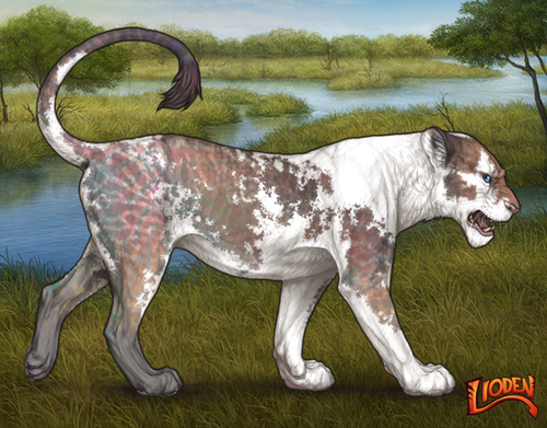 lioden wardrobe (22).png