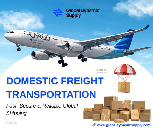 Domestic Freight Transportation Global Dynamic Supply.png