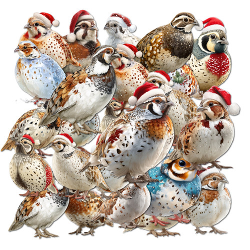 Made using FigrCollage from www.FigrCollage.com.jpg