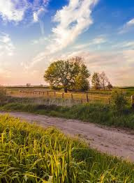 INFO RURAL: EL AGRO ARGENTINO MOSTRÓ SU POTENCIAL EN ALEMANIA