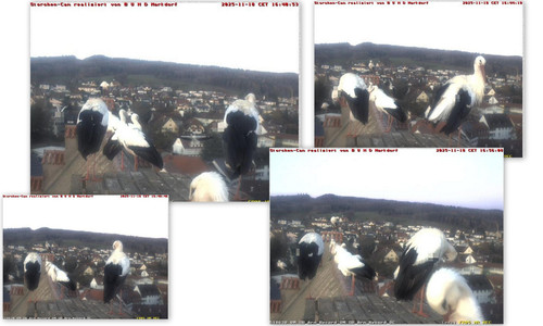 Bilder5.jpg