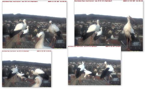 Bilder4.jpg