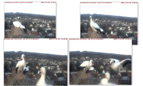 Bilder3.jpg