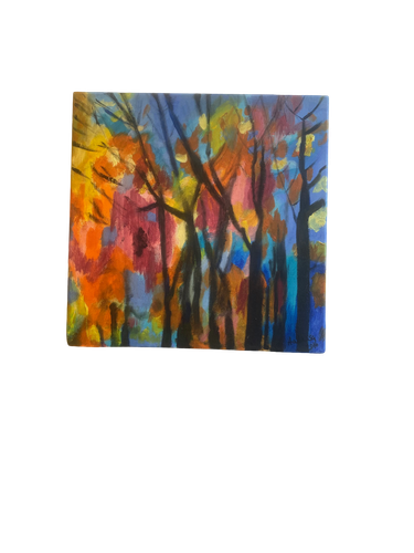 IMG 0973 (1).png